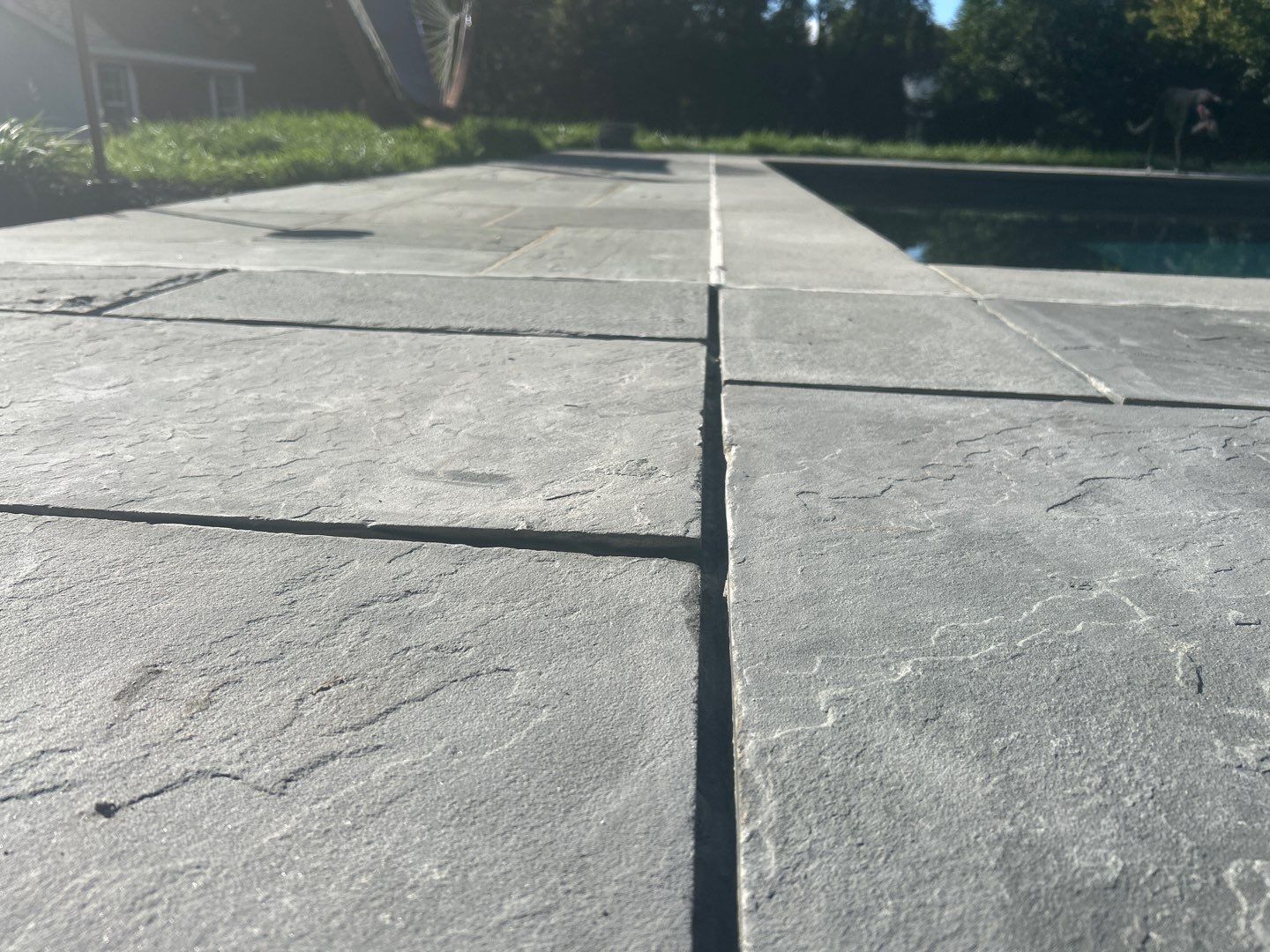 Pool + Landscape Packages